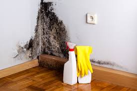 Reliable Rainbow Lakes, NJ Mold Removal & Remediation Solutions